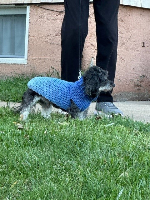 Dog Sweater - Small